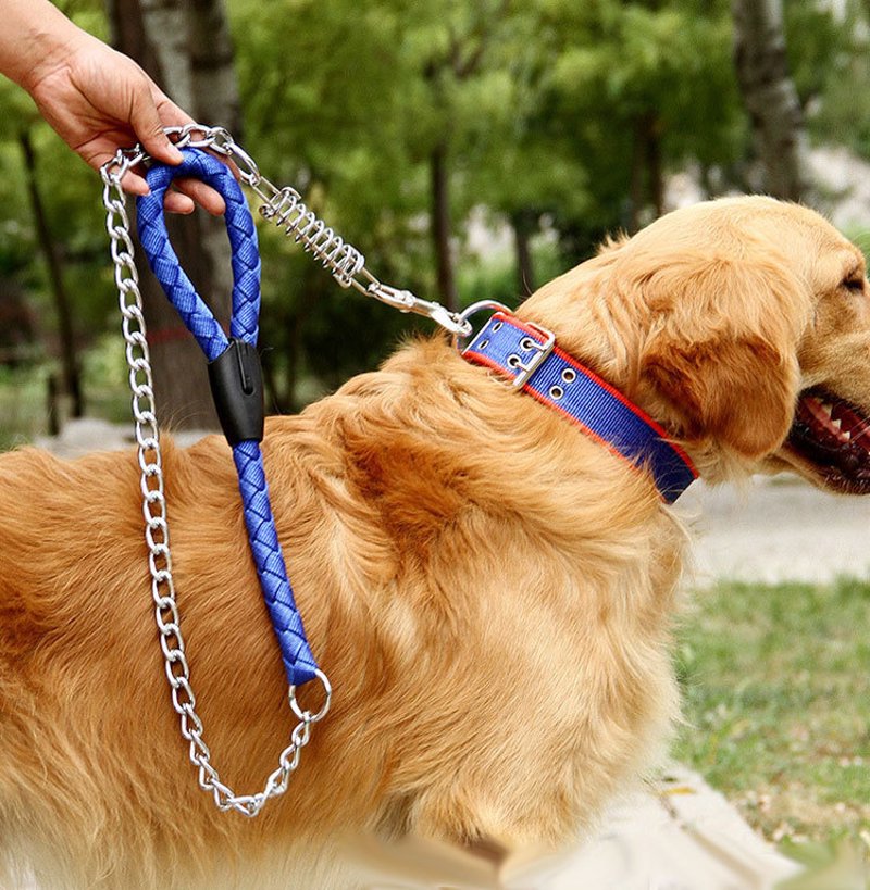 狗狗牵引绳：连接宠物与主人的纽带