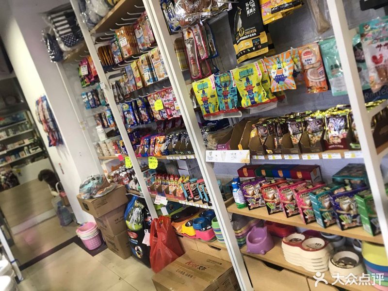宠物用品批发行业的最新动态