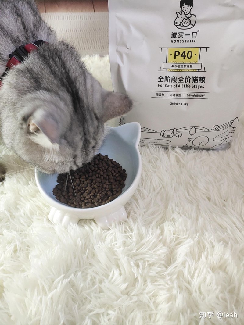 猫粮狗粮