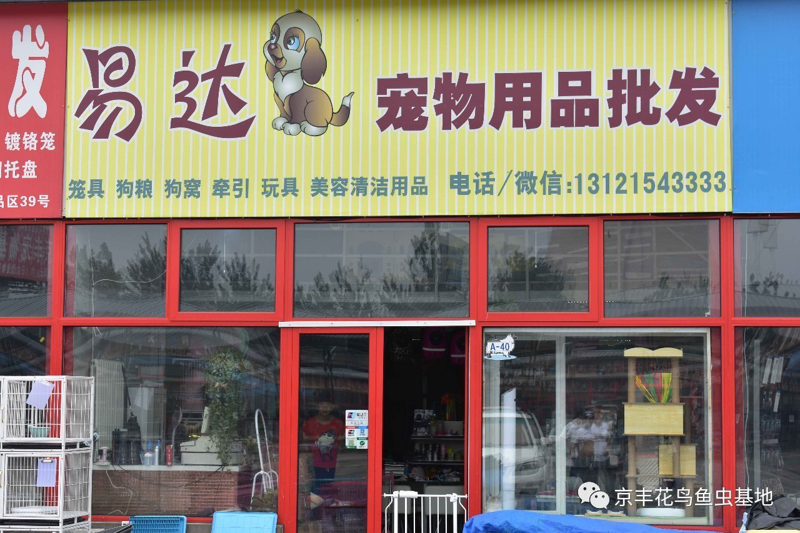 宠物用品批发