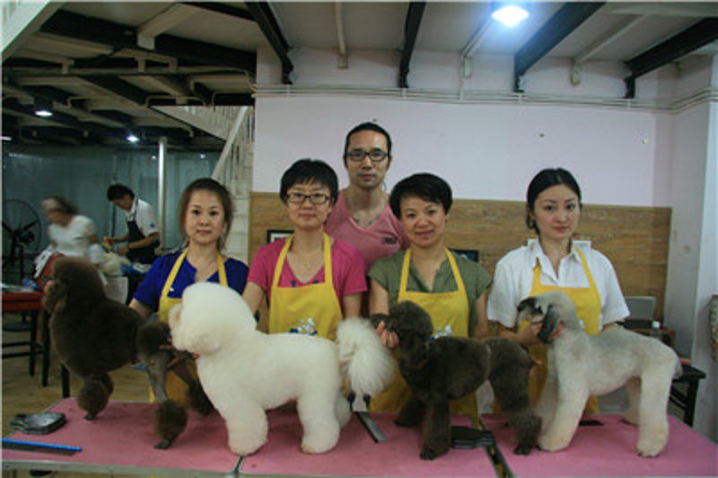 猫咪玩具：释放毛孩子的无限乐趣
